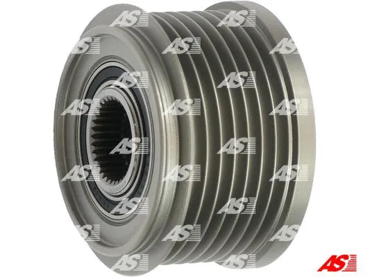 Alternator Freewheel Clutch (AFP0051(V))