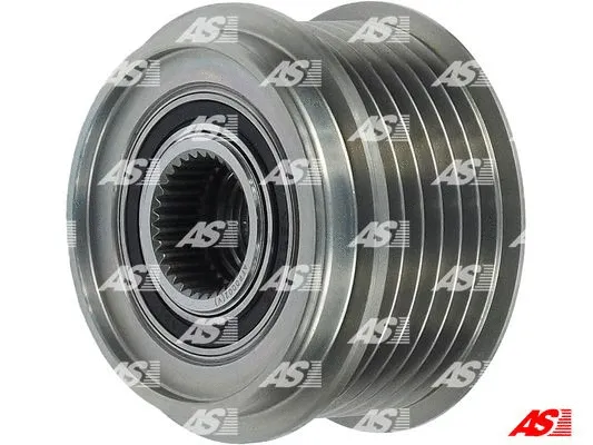 Alternator Freewheel Clutch (AFP0002(V))