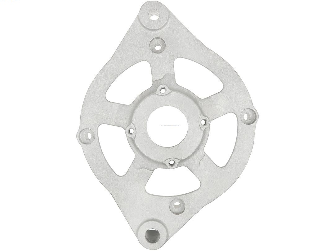 Bracket, alternator drive flange (ABR9038S)
