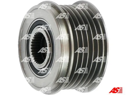 Alternator Freewheel Clutch (AFP3024(V))