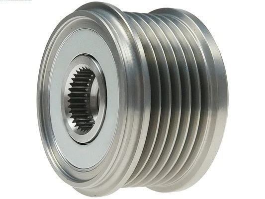 Alternator Freewheel Clutch (AFP3009)