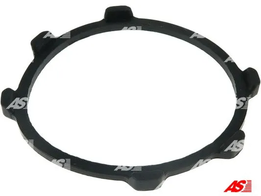 Repair Set, alternator (SRS2007)