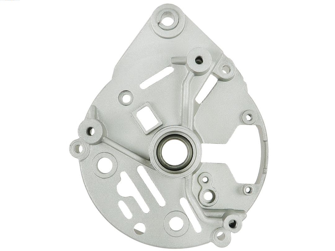 Bracket, alternator drive flange (ABR4009SR)