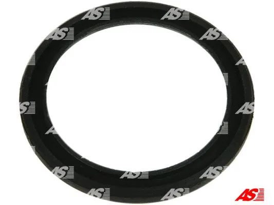 Repair Set, alternator (SRS3077S)