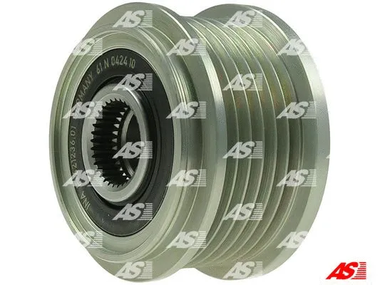 Alternator Freewheel Clutch (AFP6057(INA))
