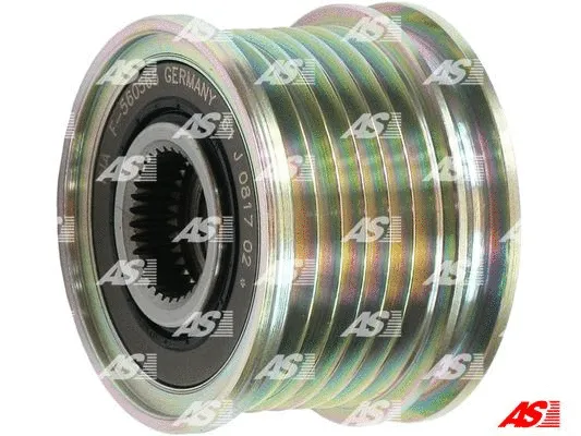 Alternator Freewheel Clutch (AFP0069(INA))