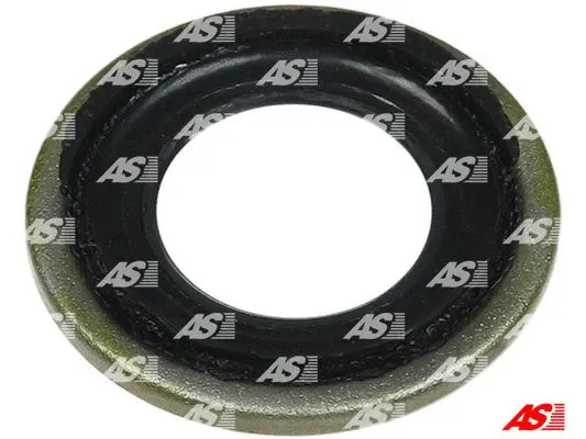 Repair Set, alternator (SRS5081S)