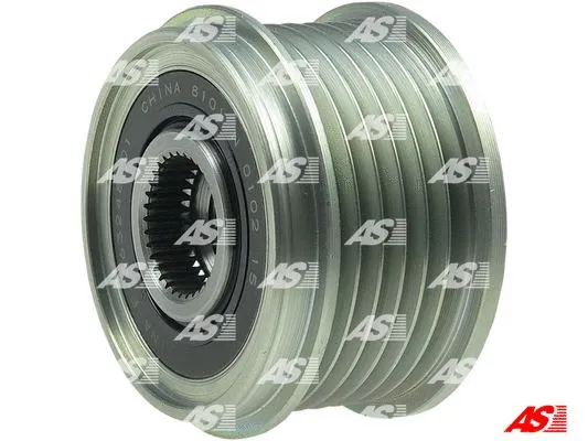 Alternator Freewheel Clutch (AFP3034(INA))