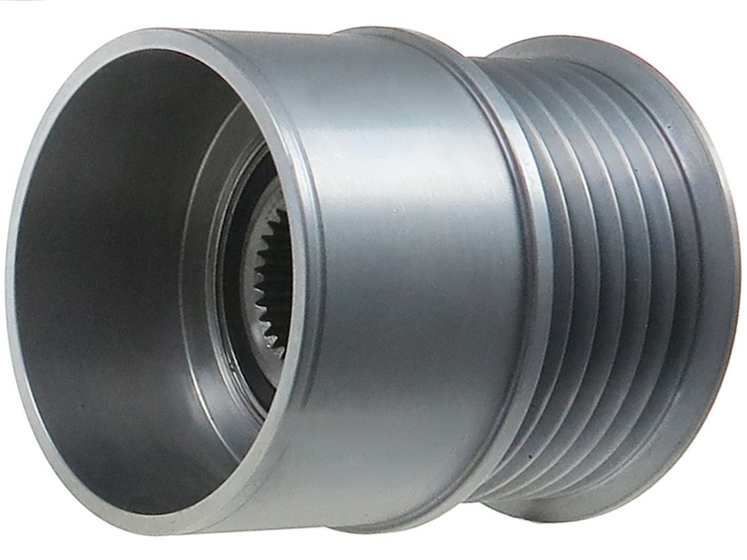 Alternator Freewheel Clutch (AFP6109S)