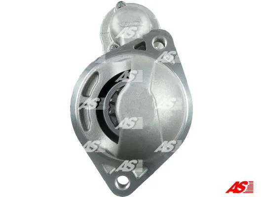 Starter (S1109(DELCO))