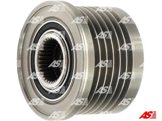 Alternator Freewheel Clutch (AFP3002(V))