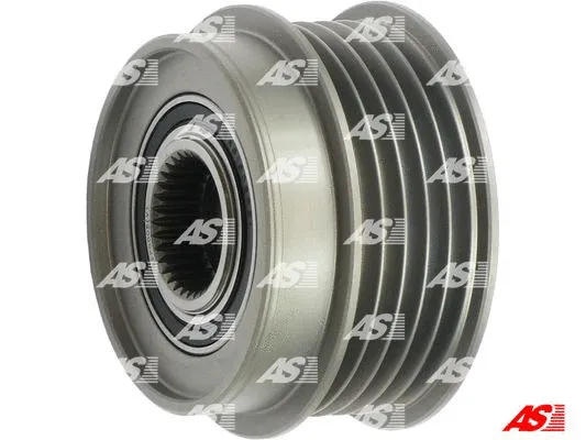 Alternator Freewheel Clutch (AFP0006(V))