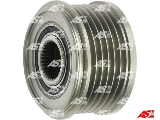 Alternator Freewheel Clutch (AFP0057(V))