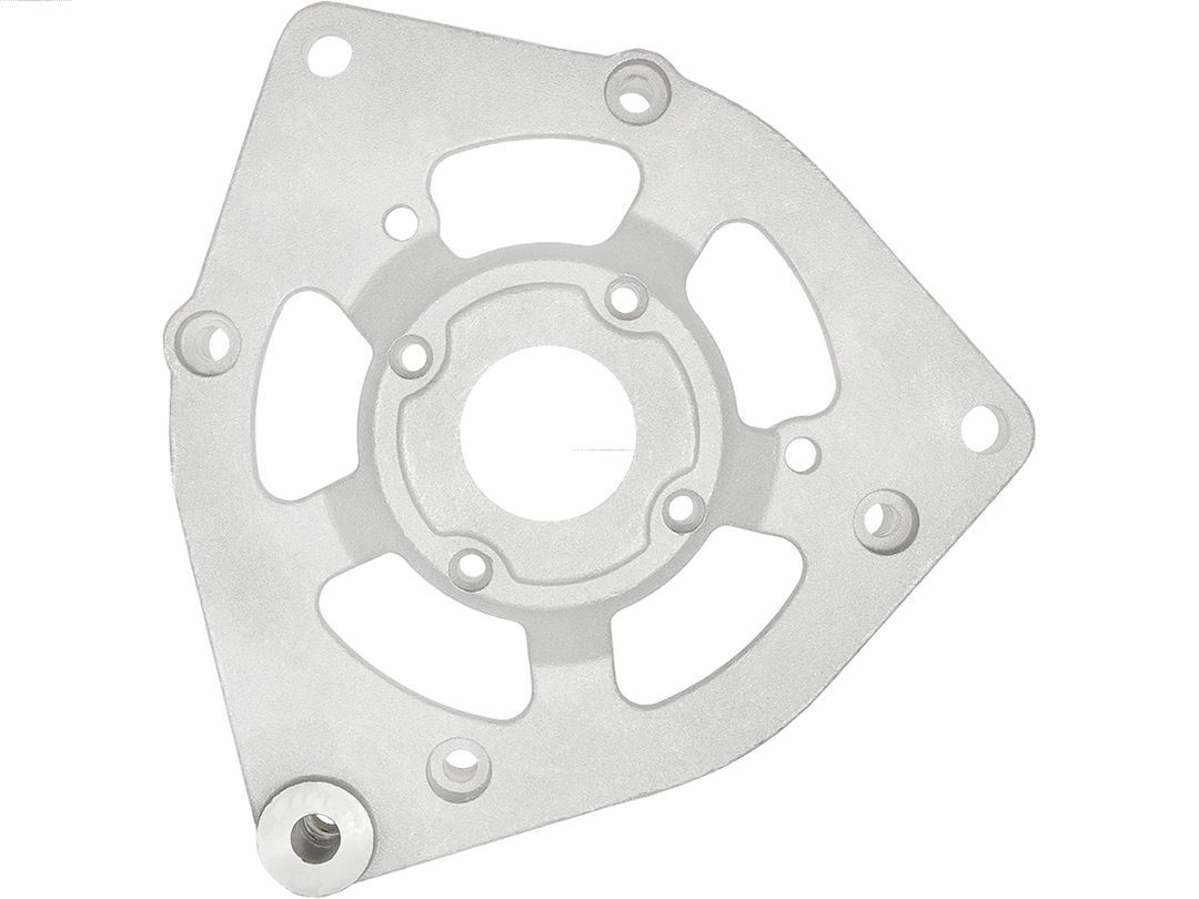 Bracket, alternator drive flange (ABR9053S)
