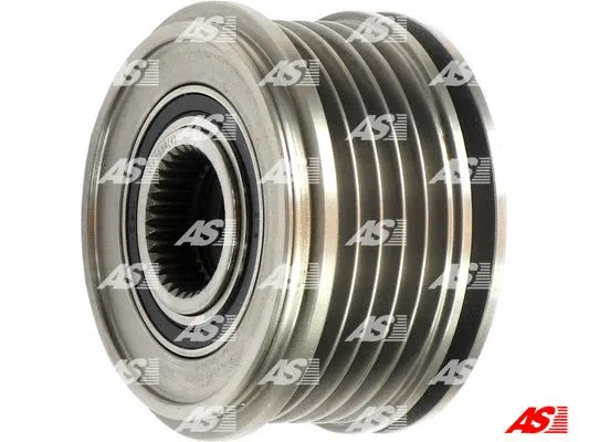 Alternator Freewheel Clutch (AFP0056(V))