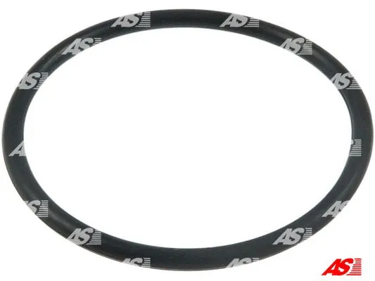 Repair Set, alternator (SRS0076)