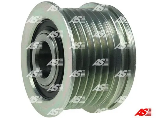 Alternator Freewheel Clutch