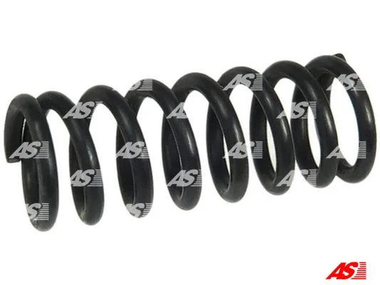 Repair Kit, starter (SP0100S)