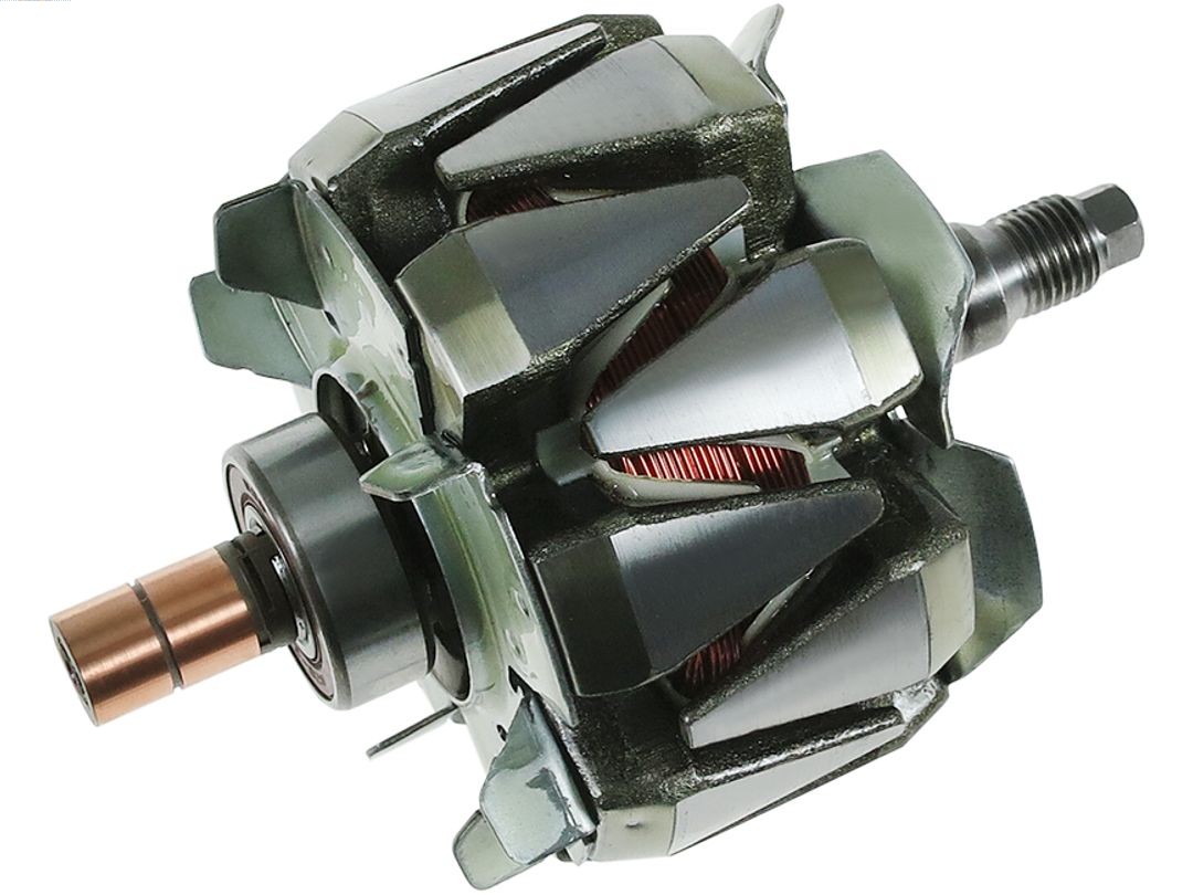 Rotor, alternator (AR6041S)