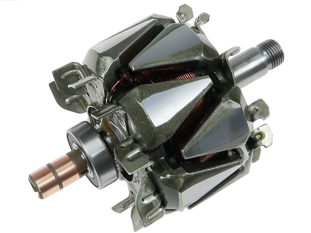 Rotor, alternator (AR3005)