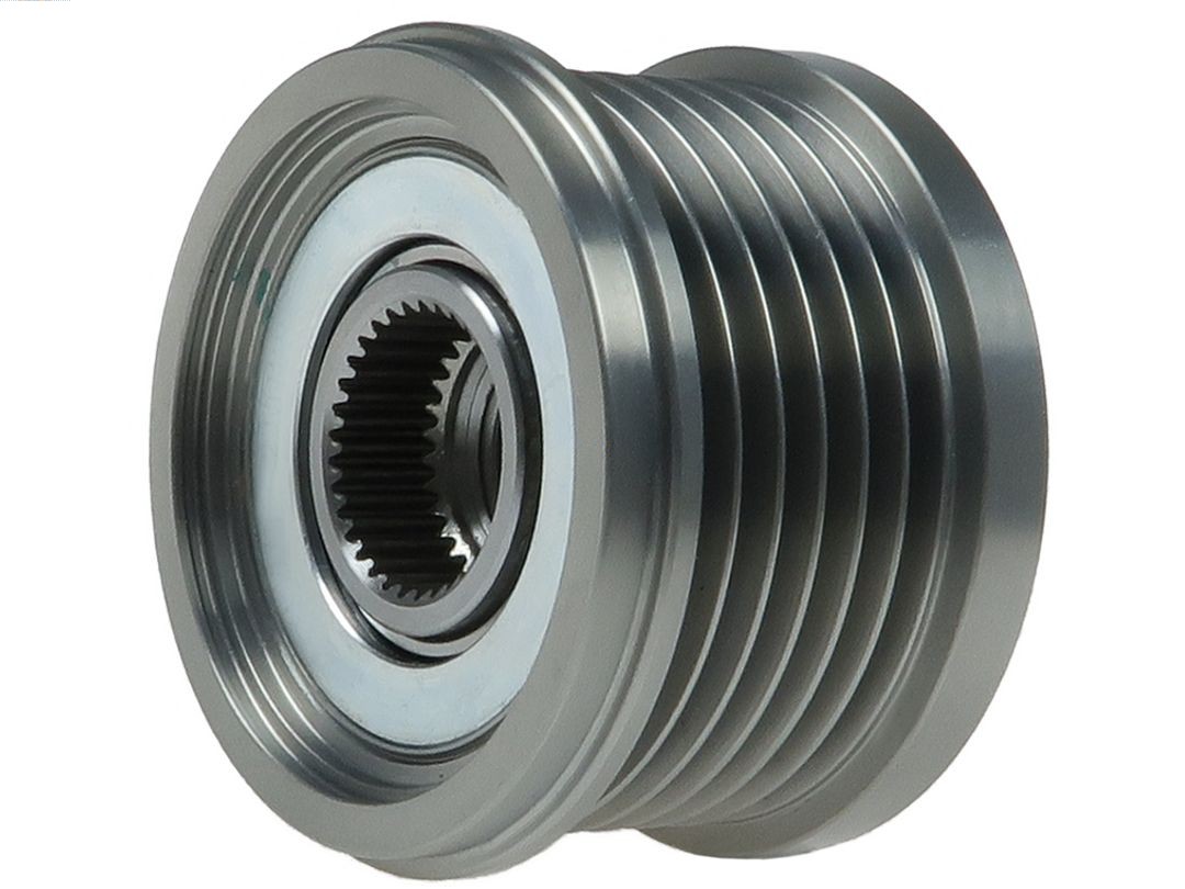 Alternator Freewheel Clutch (AFP0109S)