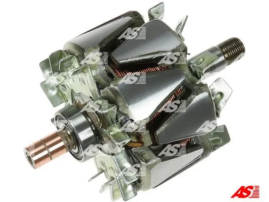Rotor, alternator (AR1013S)