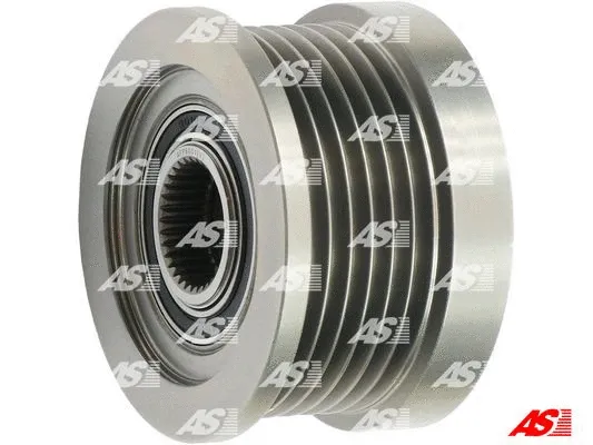 Alternator Freewheel Clutch (AFP6001(V))