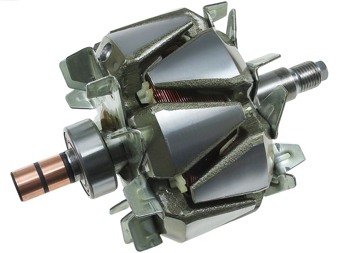 Rotor, alternator (AR6040S)