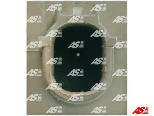 Alternator Regulator