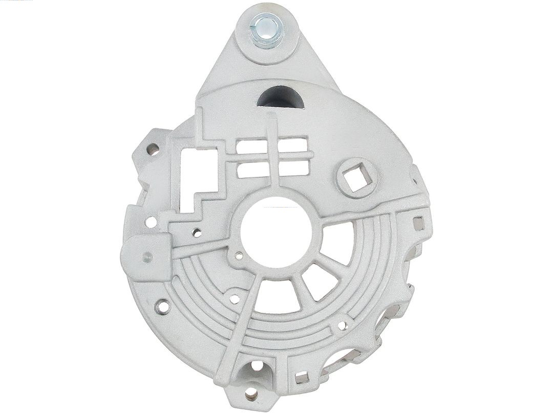Bracket, alternator drive flange (ABR1025S)