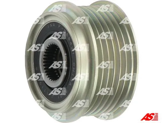 Alternator Freewheel Clutch (AFP6041(INA))