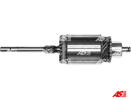 Armature, starter (SA0020)