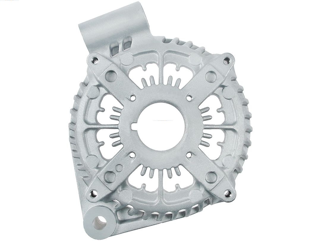 Bracket, alternator drive flange (ABR6165S)