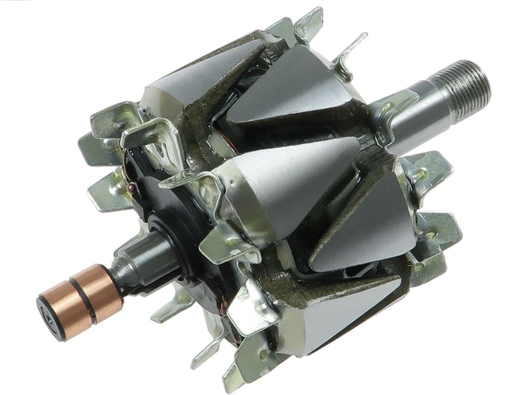 Rotor, alternator (AR1021S)