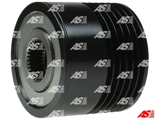 Alternator Freewheel Clutch (AFP6077S)