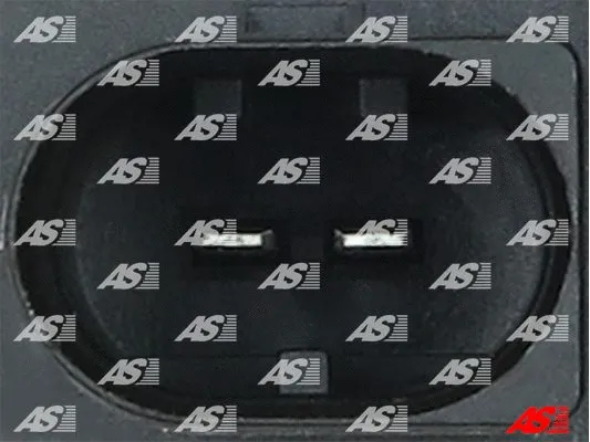 Alternator Regulator