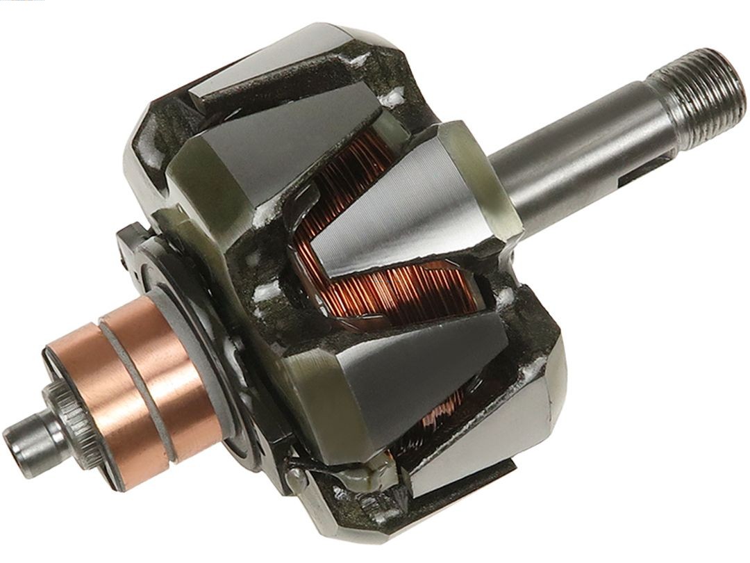 Rotor, alternator (AR3042S)