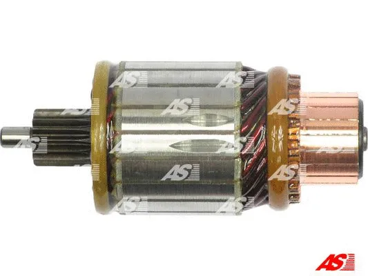 Armature, starter (SA3017)