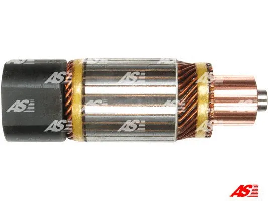 Armature, starter (SA0001)
