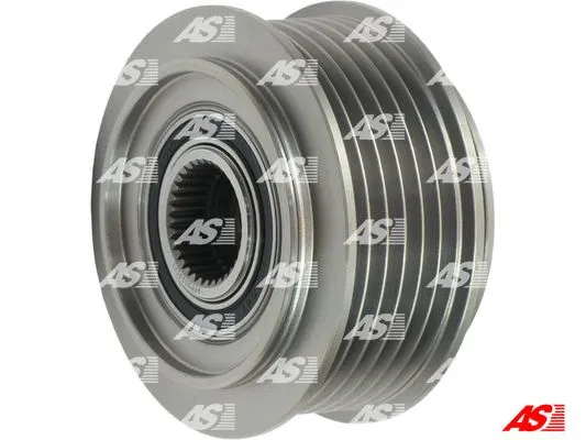 Alternator Freewheel Clutch (AFP3023(V))