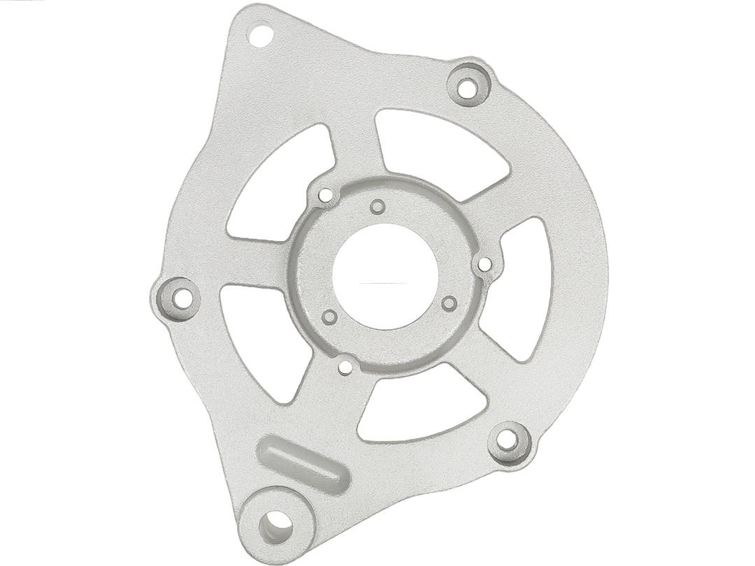 Bracket, alternator drive flange (ABR9055S)