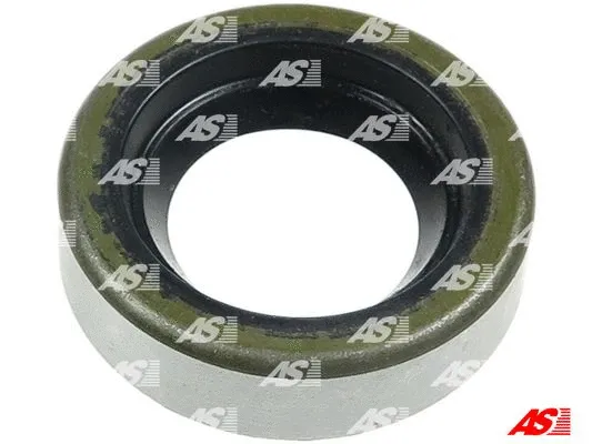 Repair Set, alternator (SRS1017)