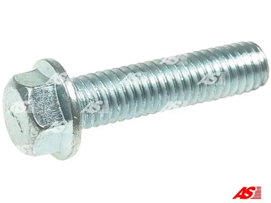 Repair Set, alternator (SRS5058S)