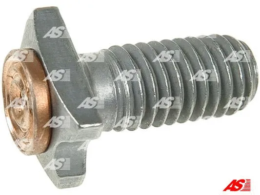 Repair Kit, starter (SP3019P)