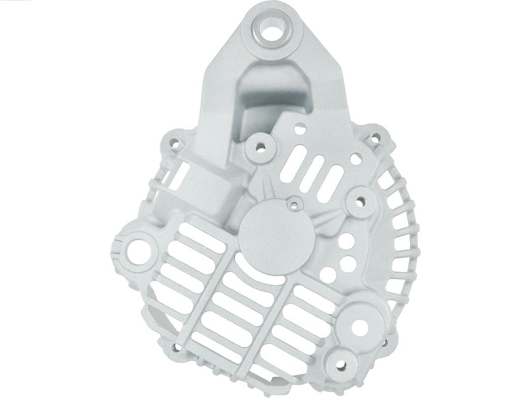 Bracket, alternator drive flange (ABR5197S)