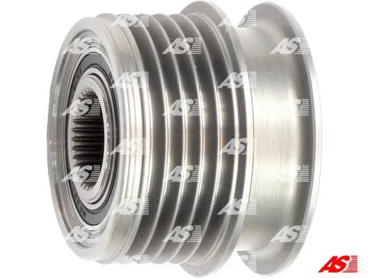 Alternator Freewheel Clutch (AFP3001(V))