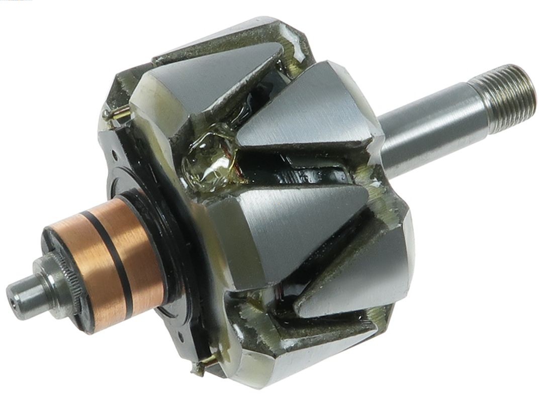 Rotor, alternator (AR3052S)
