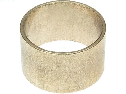 Bush, starter shaft (SBU9096)