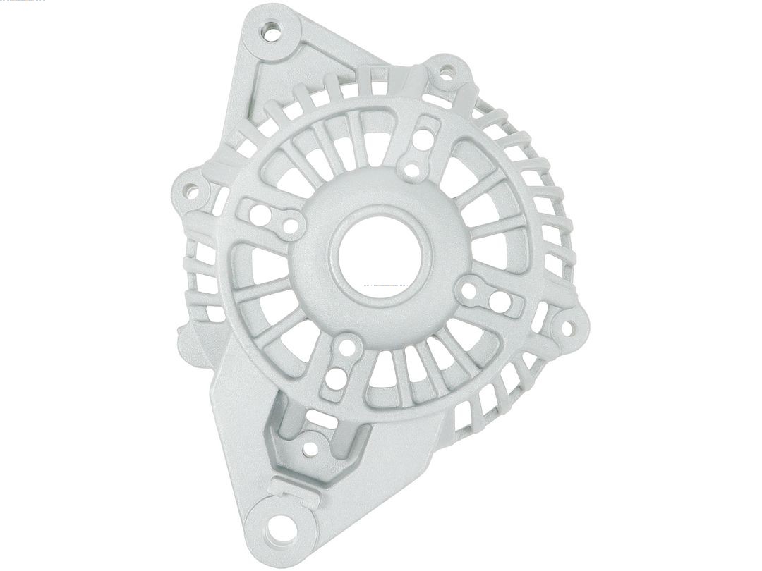 Bracket, alternator drive flange (ABR5219S)