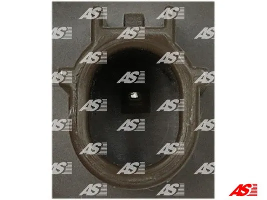 Alternator Regulator